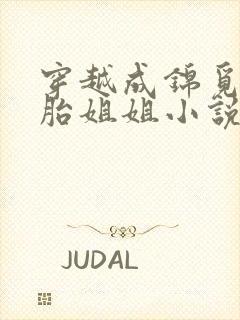 穿越成锦觅双胞胎姐姐小说