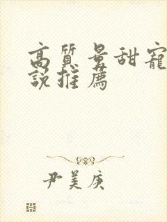 高质量甜宠文小说推荐