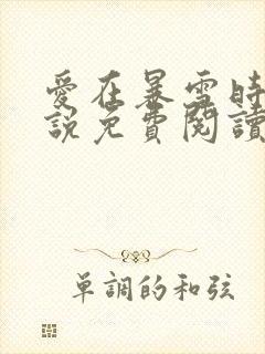 爱在暴雪时分小说免费阅读