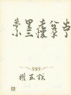 梦里老公出轨,小三怀孕了