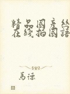 精品国产丝袜自在线拍国语