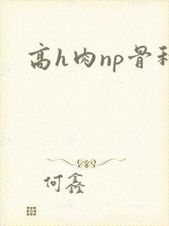 高h肉np骨科封面