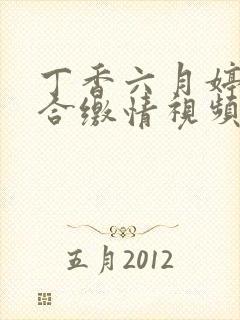 丁香六月婷婷综合缴情视频