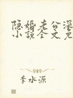 隐婚老公深夜来小说全文免费阅读封面