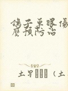 鸽子单眼伤风怎么预防治