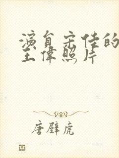 演员宋佳的丈夫王伟照片