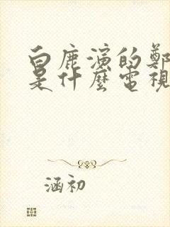 白鹿演的郑书意是什么电视剧