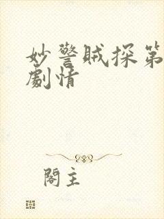 妙警贼探第四季剧情封面