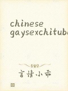 chinesegaysexchituboy封面