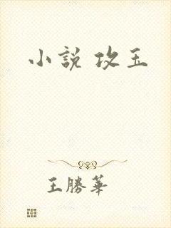 小说 攻玉