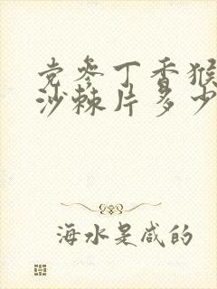 党参丁香猴头菇沙棘片多少钱一瓶封面