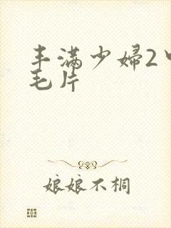 丰满少妇2中文毛片