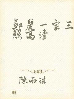 郑丽一家三口合照高清封面