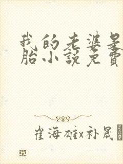 我的老婆是双胞胎小说免费阅读全本