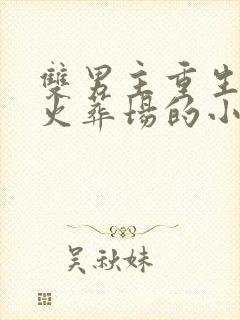 双男主重生追夫火葬场的小说