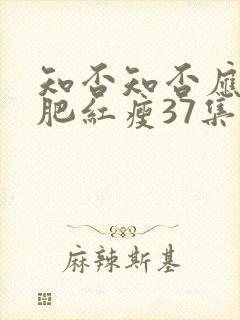 知否知否应是绿肥红瘦37集封面