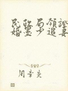 民政局领证,闪婚墨少追妻忙封面