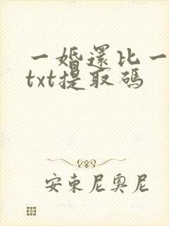 一婚还比一婚高txt提取码