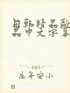 日韩精品欧美精品中文字幕封面