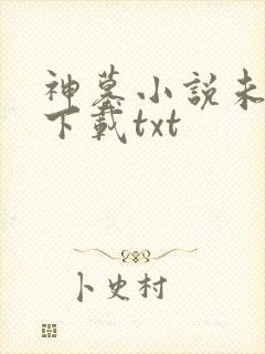 神墓小说未删版下载txt