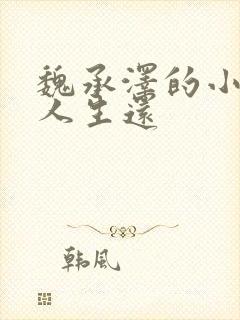 魏承泽的小说无人生还封面