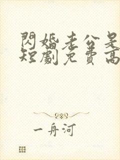 闪婚老公是总裁短剧免费高清