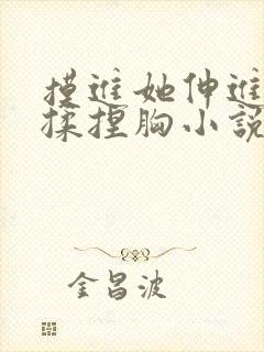 摸进她伸进内衣揉捏胸小说