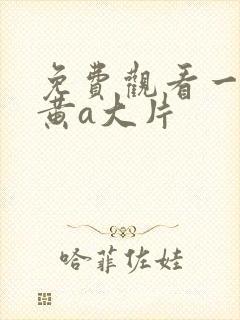 免费观看一级特黄a大片