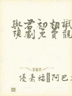 与君初相识 电视剧免费观看完整版封面