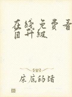 在线免费看我独自升级封面