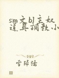 sm文bl主奴道具调教小说