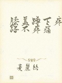 膝盖蹲下疼但走路不疼痛封面