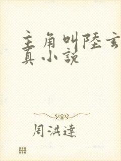 主角叫陆玄的修真小说