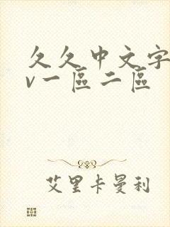 久久中文字幕av一区二区