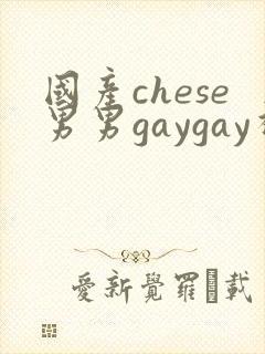 国产chese男男gaygay视频网站