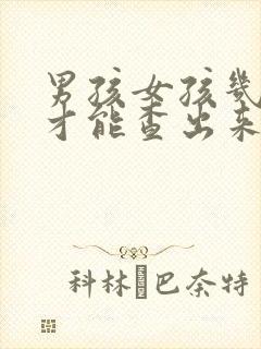 男孩女孩几个月才能查出来封面