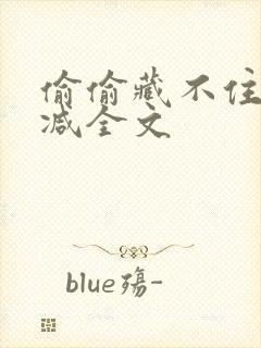 偷偷藏不住无删减全文