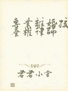 专业离婚孩子抚养权律师