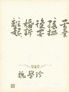 离婚后孩子可以起诉要抚养费封面