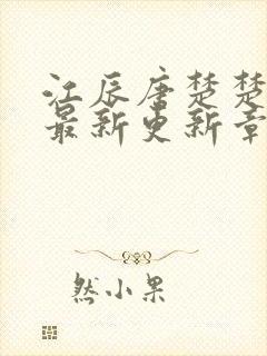 江辰唐楚楚小说最新更新章节