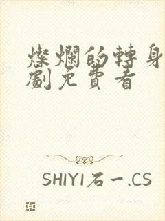 灿烂的转身电视剧免费看