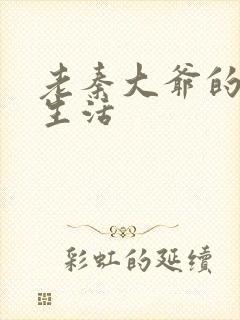 老秦大爷的幸福生活封面