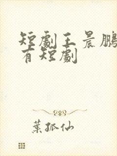 短剧王晨鹏的所有短剧