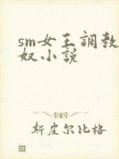 sm女王调教男奴小说封面