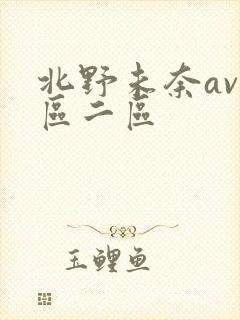 北野未奈av一区二区封面