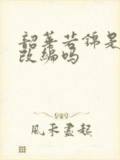 韶华若锦是小说改编吗