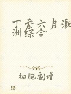 丁香六月激情亚洲综合