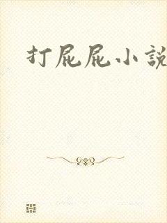 打屁屁小说
