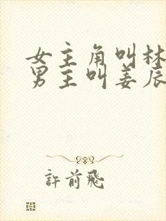 女主角叫林清欢男主叫姜辰