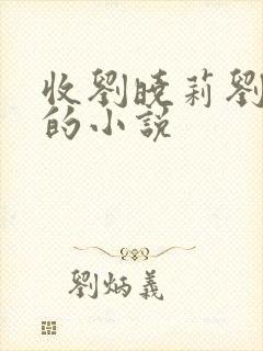 收刘晓莉刘亦菲的小说封面